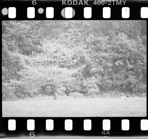 06 Roger Feoli - Kodak TMAX 400 por Arca Film Lab (Mayo 2025) - Rollo 1031