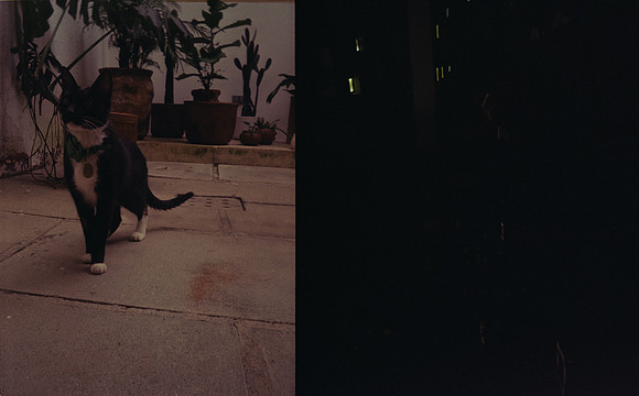 13 Guillermo Durán - Kodak Gold 200 por Arca Film Lab (Agosto 2024) - Rollo 0212