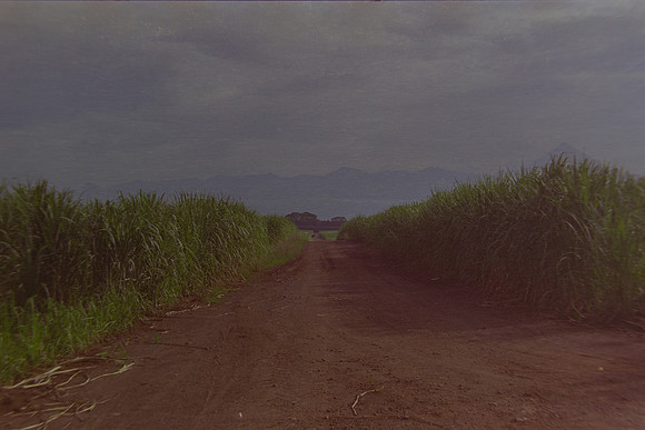 25 Christian Arriola - Kodak Gold 200 por Arca Film Lab (Agosto 2024) - Rollo 0232