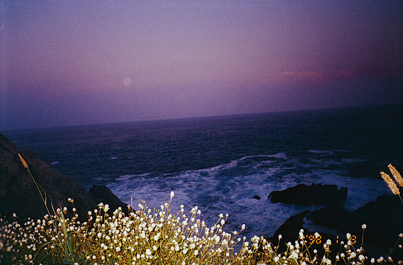 20 Sara Ortega - Kodacolor 200 por Arca Film Lab (Enero 2025) - Rollo 0560