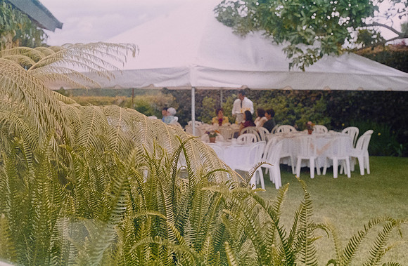 19 Sabrina Mac Donald - Kodak Ultramax 400 por Arca Film Lab (Enero 2025) - Rollo 0685