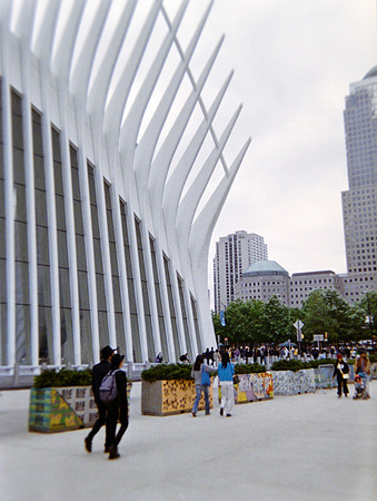 24 Luis Pedro Titus - Kodak Ultramax 400 por Arca Film Lab (Junio 2024) - Rollo 0092