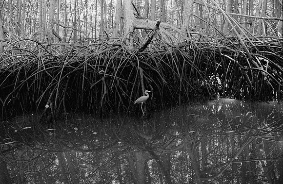 30 Guilia Trobbiani - Ilford HP5+ 400 por Arca Film Lab (Abril 2025) - Rollo 0932