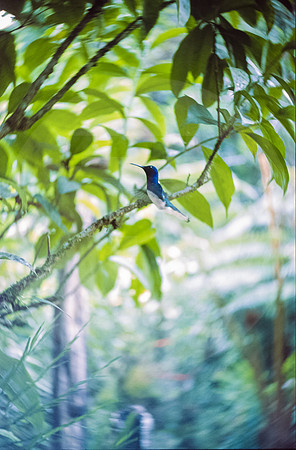 28 Fabriccio Díaz - Fujichrome Provia 100F por Arca Film Lab (Junio 2024) - Rollo 0046