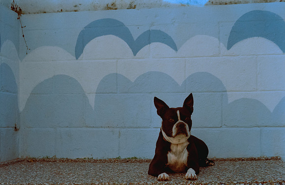 21 Denis Guerrero - Kodak Gold 200 por Arca Film Lab (Agosto 2024) - Rollo 0296