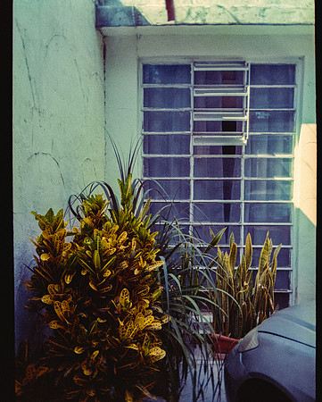 38 David Vela - Kodak Ultramax 400 por Arca Film Lab (Mayo 2025) - Rollo 1000