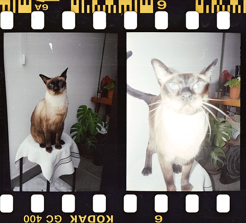 00010 Isa Valladares - Kodak Ultramax 400 - Arca Film Lab (Noviembre 2024) - Rollo 0432
