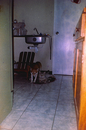 19 Edwin Hernández - Konica Centuria Super 400 por Arca Film Lab (Febrero 2025) - Rollo 0010