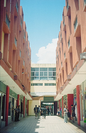 04 Josué Mártir - Kodak Vision 3 200T por Arca Film Lab (Enero 2025) - Rollo 0574