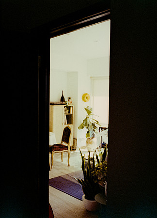 47 Steve Palma - Fujifilm 400 por Arca Film Lab (Enero 2025) - Rollo 0628