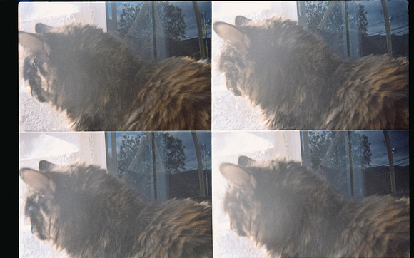 04 Natalia Mendoza - Kodak Gold 200 por Arca Film Lab (Mayo 2025) - Rollo 1018