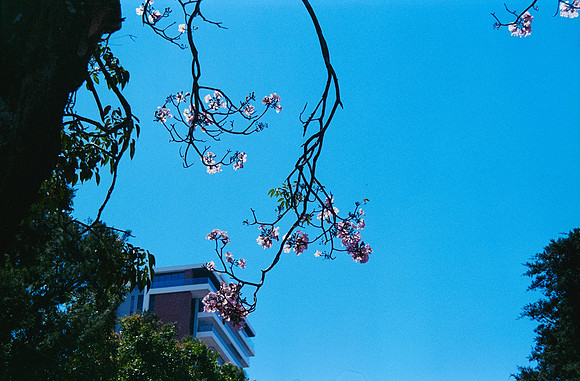 33 Diana Roca - Fujifilm 400 por Arca Film Lab (Mayo 2025) - Rollo 1051