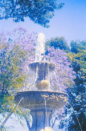 14 Ronald Ottoniel - Fujifilm 400 por Arca Film Lab (Febrero 2025) - Rollo 0867