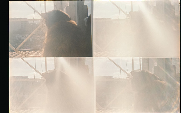 03 Natalia Mendoza - Kodak Gold 200 por Arca Film Lab (Mayo 2025) - Rollo 1018
