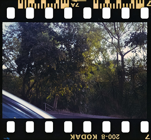 07 Rodrigo Gonzalez - Kodacolor 200 por Arca Film Lab (Junio 2025) - Rollo 1117