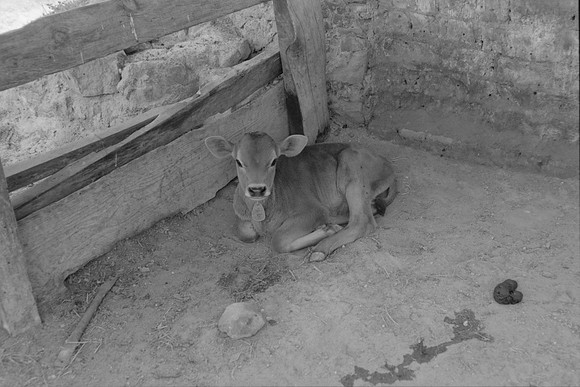 05 Omar Véliz - Ilford FP4 125 Plus por Arca Film Lab (Mayo 2024) - Rollo 0060