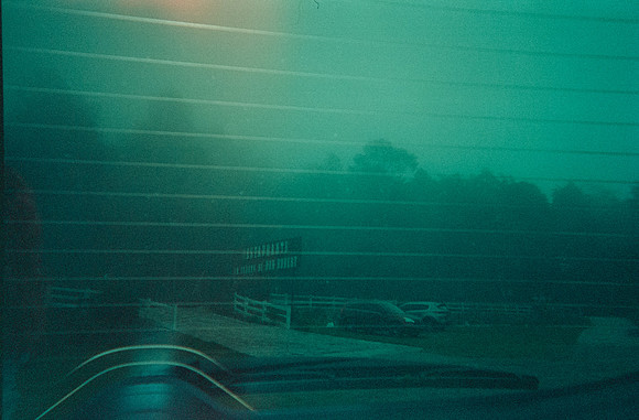 25 Kamilah Ruíz - Cinestill 800T por Arca Film Lab (Agosto 2024) - Rollo 0251
