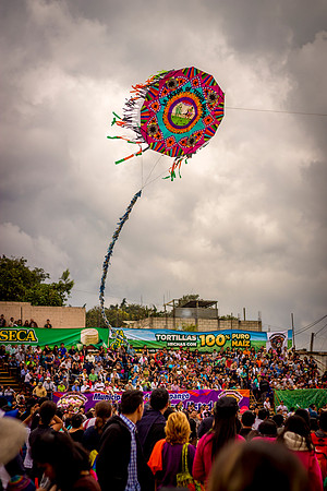 Vuela alto