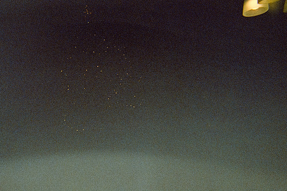 19 Zulma Rodríguez - Cinestill 800T por Arca Film Lab (Enero 2025) - Rollo 0604