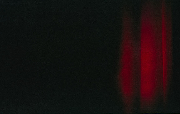 35 Elliot Morales - Cinestill 400D por Arca Film Lab (Noviembre 2024) - Rollo 0438