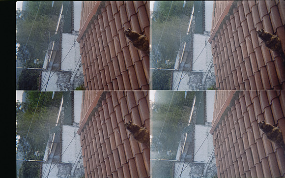 21 Natalia Mendoza - Kodak Gold 200 por Arca Film Lab (Mayo 2025) - Rollo 1018