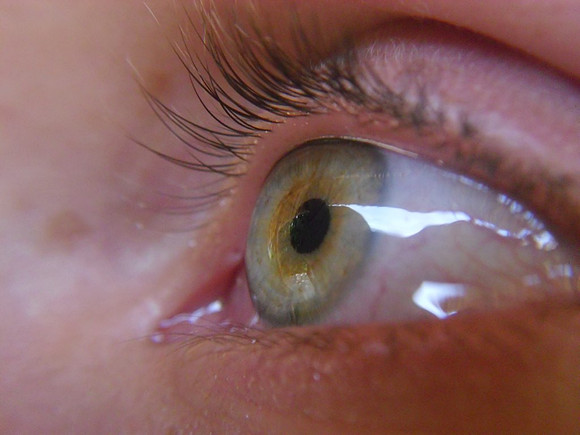 ojo de lena