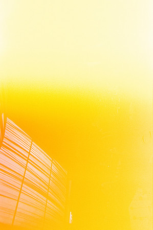 23 Andrea Osorio - Kodak Gold 200 por Arca Film Lab (Enero 2025) - Rollo 0638