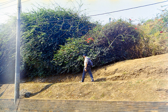 06 Iván Ortiz - Kodak Ultramax 400 por Arca Film Lab (Abril 2024)