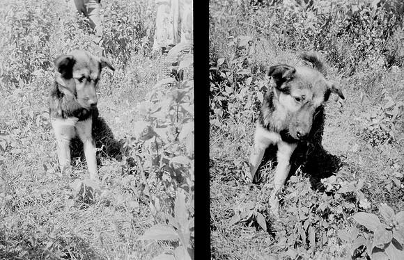 25 Melissa Paises - Ilford HP5+ 400 por Arca Film Lab (Febrero 2025) - Rollo 0686