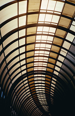 39 David Santiago - Kodak Ultramax 400 por Arca Film Lab (Enero 2025) - Rollo 0703