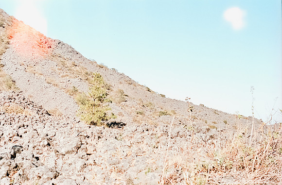37 Gerardo Recinos - Kodak Aerocolor IV por Arca Film Lab (Abril 2025) - Rollo 0938