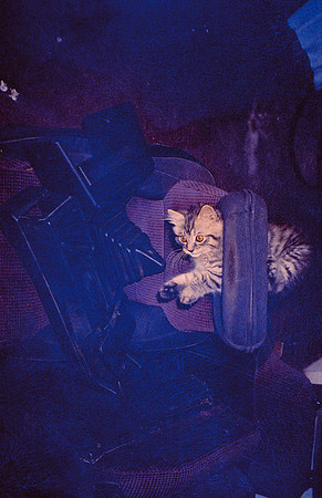 19 Caleb Rodríguez - Kodak 400 Max por Arca Film Lab (Enero 2025) - Rollo 0581