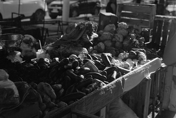 17 Ivan Ortíx - Kodak BW400CN por Arca Film Lab (Abril 2024)