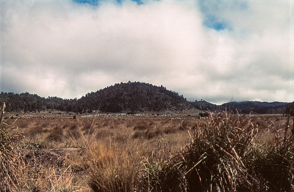 11 Andrés Cux - Fujifilm Provia 100F por Arca Film Lab (Enero 2025) - Rollo 0607