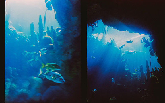 09 Roberto Samayoa - Fujifilm Provia 100F por Arca Film Lab (Mayo 2025) - Rollo 1002