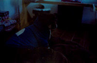 16 Julian Samperio - Agfavista 400 por Arca Film Lab (Enero 2025) - Rollo 0627