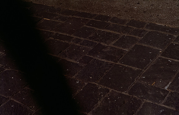 19 Elliot Morales - Cinestill 400D por Arca Film Lab (Mayo 2025) - Rollo 1049