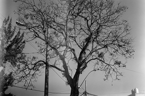 18 Ivan Ortíx - Kodak BW400CN por Arca Film Lab (Abril 2024)
