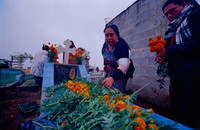 01 Fabriccio Díaz - Kodak Vision 3 500T por Arca Film Lab (Noviembre 2024) - Rollo 0434
