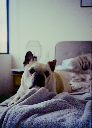 51 Steve Palma - Fujifilm 400 por Arca Film Lab (Enero 2025) - Rollo 0628
