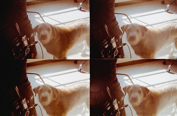 10 Natalia Mendoza - Kodak Gold 200 por Arca Film Lab (Marzo 2025) - Rollo 0807