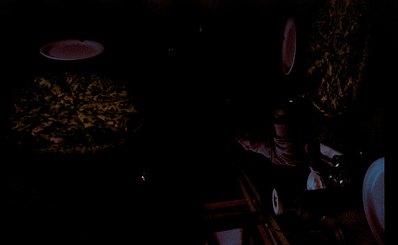 11 David Rosales - Cinestill 800T por Arca Film Lab (Agosto 2024) - Rollo 0293