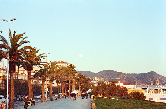 32 Rafael Peyré - Cinestill 400D por Arca Film Lab (Diciembre 2024) - Rollo 0553