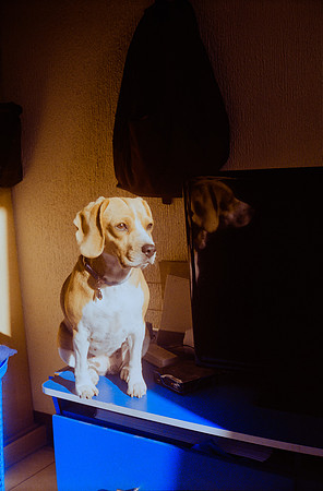 03 Roberto Barco - Fujifilm 200 por Arca Film Lab (Noviembre 2024) - Rollo 0457