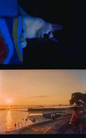 16 Karla Figueroa - Cinestill 800T por Arca Film Lab (Mayo 2025) - Rollo 1038