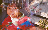 14 Estuardo Pernillo - Photoworks 400 por Arca Film Lab (Diciembre 2024) - Rollo 0544