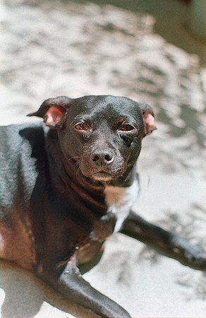 25 Shirley Rabanales - Fujifilm 400 por Arca Film Lab (Septiembre 2024) - Rollo 0373