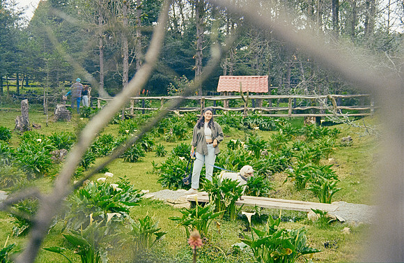 13 José Pérez - Kodak Gold 200 por Arca Film Lab (Enero 2025) - Rollo 0641