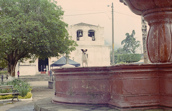 32 Iván Ortíz - Fujifilm 400 por Arca Film Lab (Diciembre 2024) - Rollo 0525