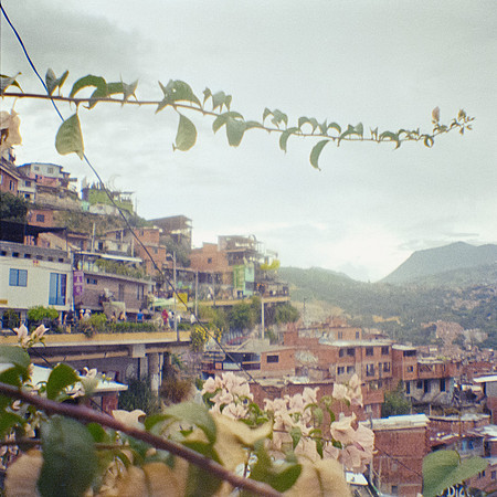 34 Luis González - Fujifilm 400 por Arca Film Lab (Febrero 2025) - Rollo 0747
